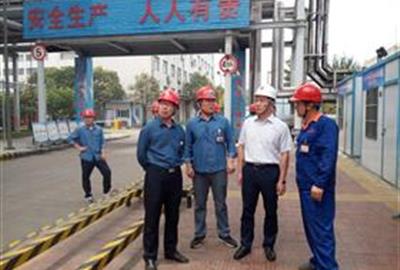 Datang group Jiangsu branch’s general manager Yongli Zhao and other leaders visited TUNA in Jiangsu Xutang power plant repair technical transform wet electrostatic precipitator project
